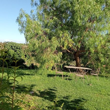 Agriturismo Podere Gianmaria 卡斯蒂利翁切洛 外观 照片