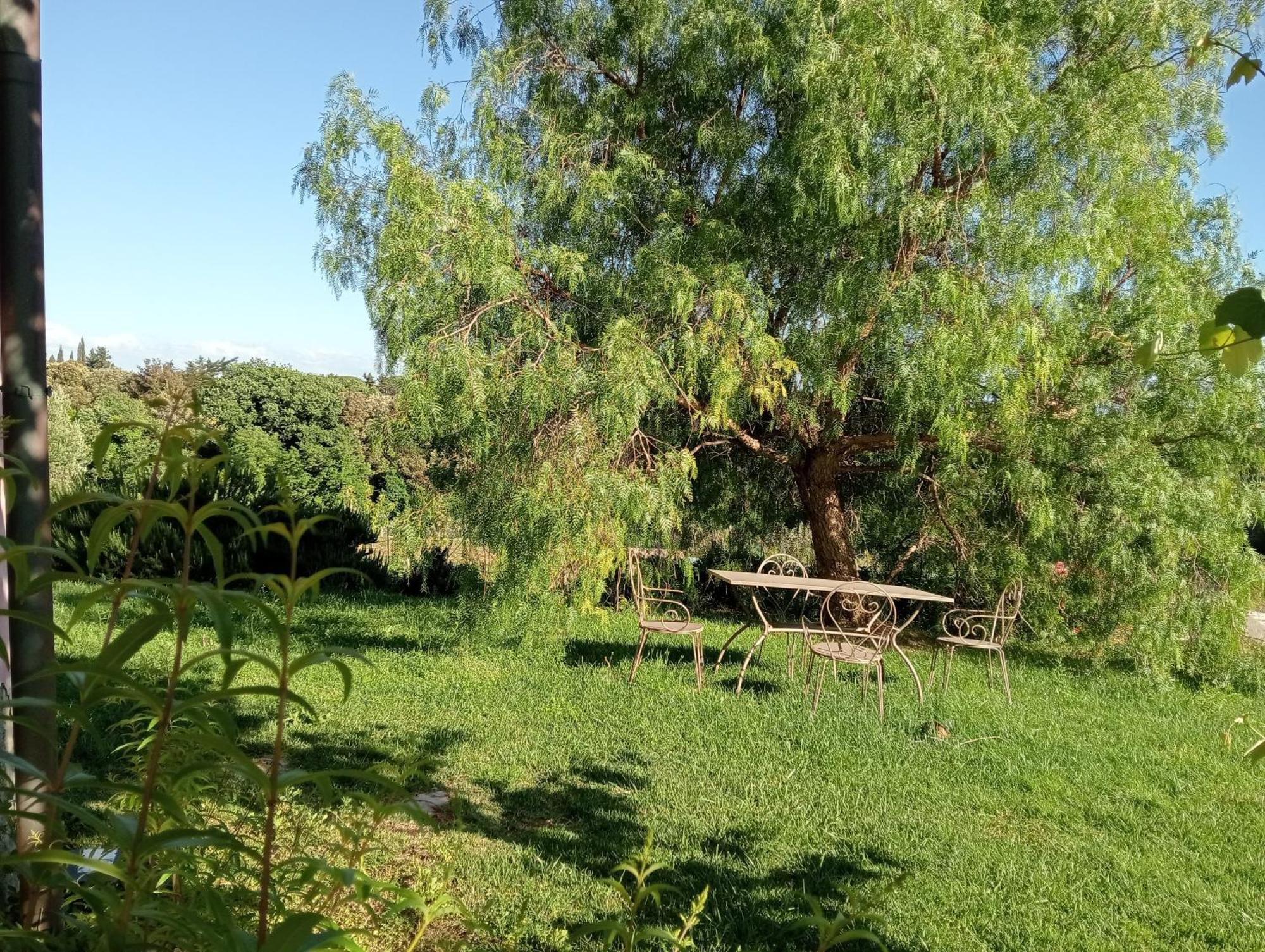 Agriturismo Podere Gianmaria 卡斯蒂利翁切洛 外观 照片